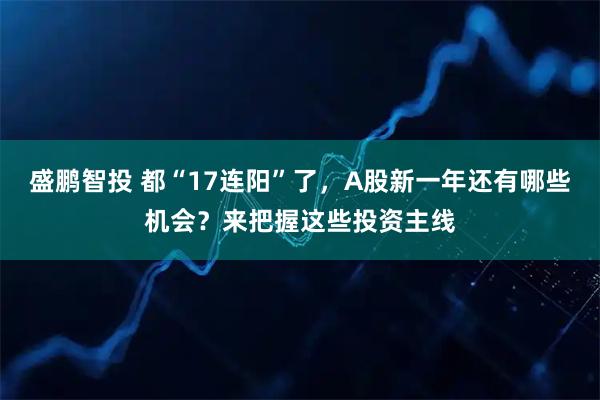 盛鹏智投 都“17连阳”了，A股新一年还有哪些机会？来把握这些投资主线