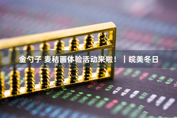 金勺子 麦秸画体验活动来啦！｜皖美冬日