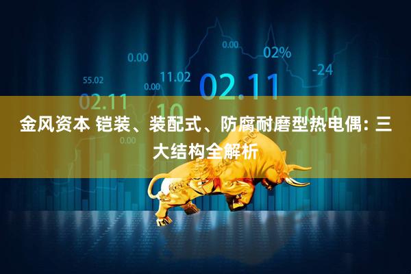 金风资本 铠装、装配式、防腐耐磨型热电偶: 三大结构全解析